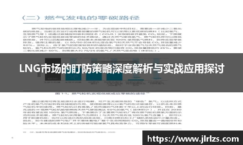 LNG市场的盯防策略深度解析与实战应用探讨