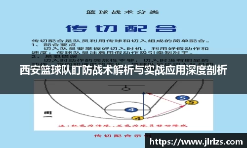 3377体育官网