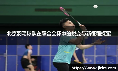 3377体育官网