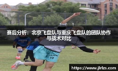 3377体育官网入口直播